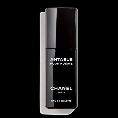 chanel antaeus 100 ml eau de parfum|cheapest Chanel antaeus equivalent.